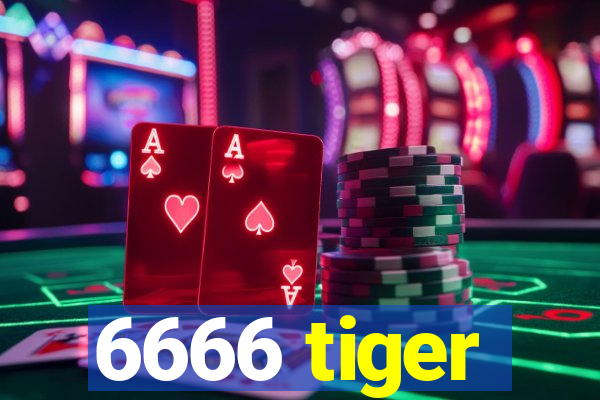 6666 tiger
